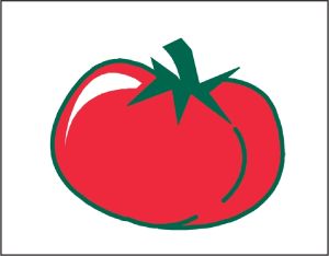 Item No P26TOM Tomato Marketeer