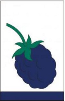 Item No P28BKB Blackberry Ex-Flag