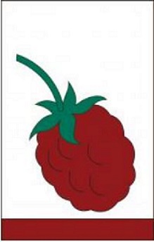 Item No P28RAS Raspberry Ex-Flag