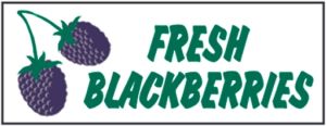 Item No P8BKBFR "Fresh Blackberries" Banner