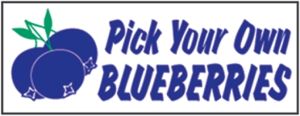 Item No P8BLUPYOHD "Pick Your Own Blueberries" Heavy Duty Banner 