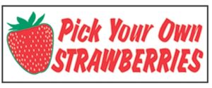 Item No P8STRPYOHD "Pick Your Own Strawberries" Heavy Duty Banner 