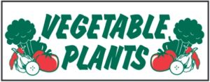 Item No P8PLTVEGHD "Vegetable Plants" Heavy Duty Banner 