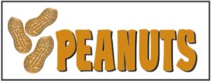 Item No P8PNUT "Peanuts" 3 ft x 8 ft Banner